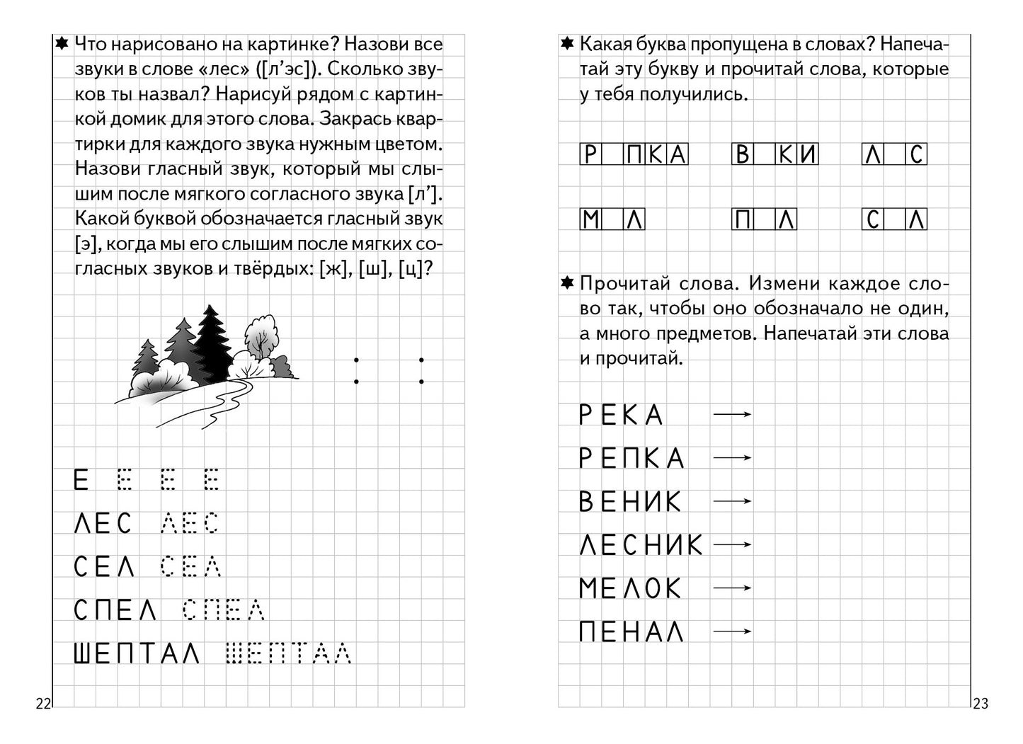 Тетрадь Развиваем навыки чтения и грамотного письма 1ч. 5-6лет