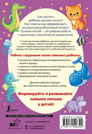 С нуля до каллиграфического почерка: пишу аккуратно и красиво