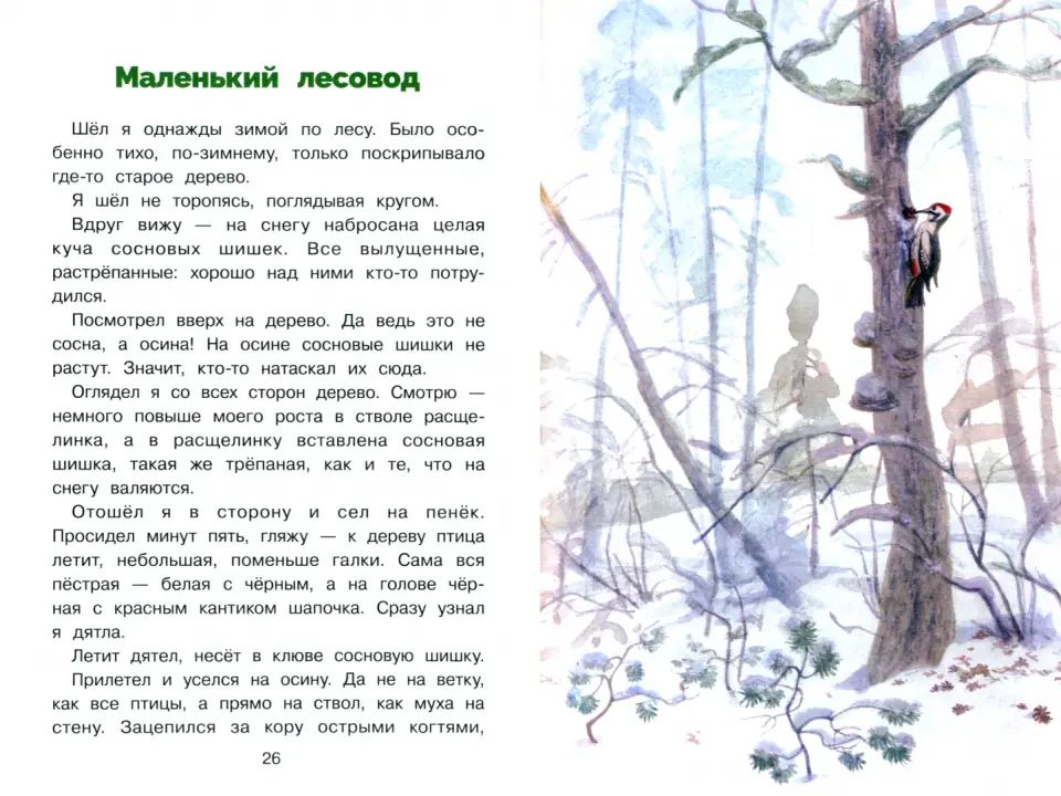 БШ. Пушок /Скребицкий Г. А.