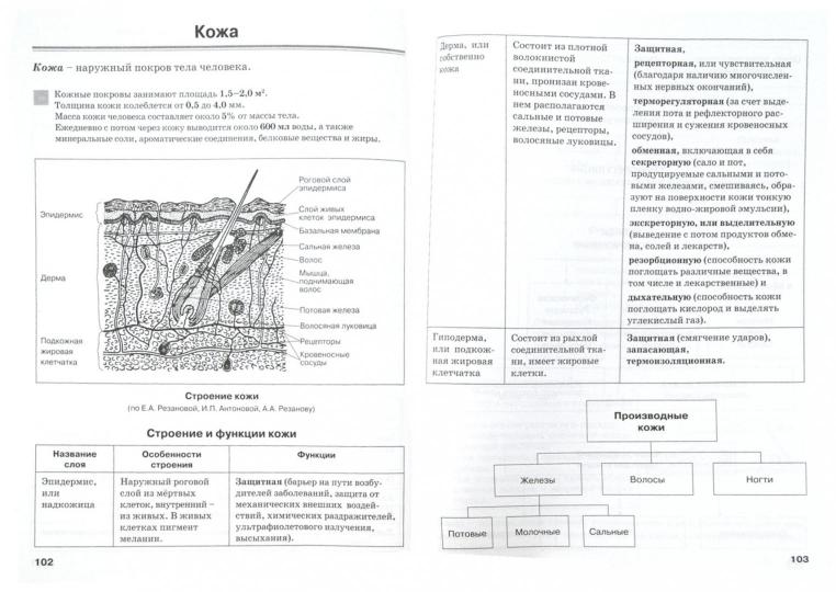 Биология чел. в табл. и схемах.Человек и его здор.
