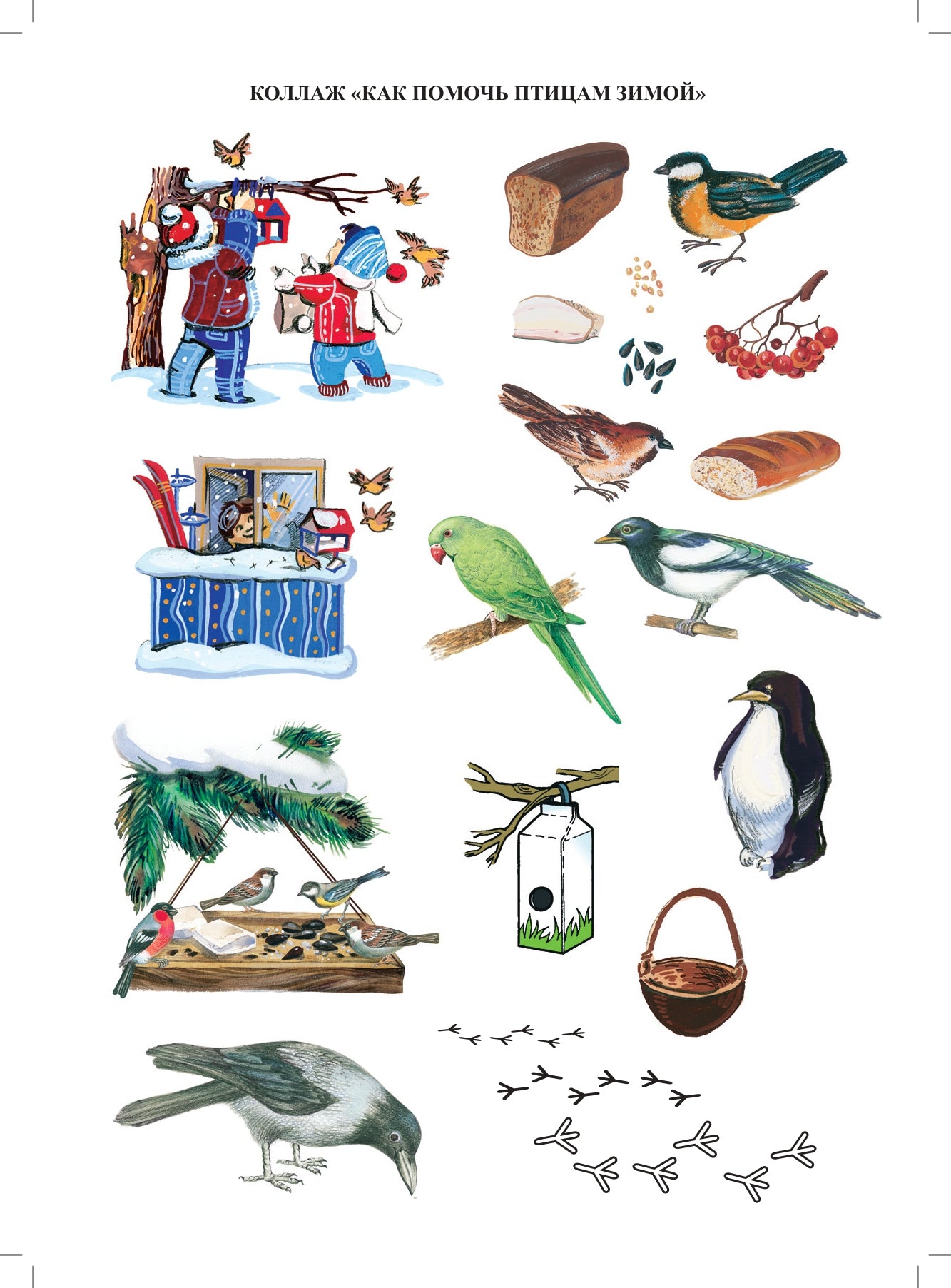 Добро пожаловать в экологию! Дидактический материал для работы с детьми 4-5 лет (средняя группа) Коллажи, мнемотаблицы, модели, пиктограммы ФГОС