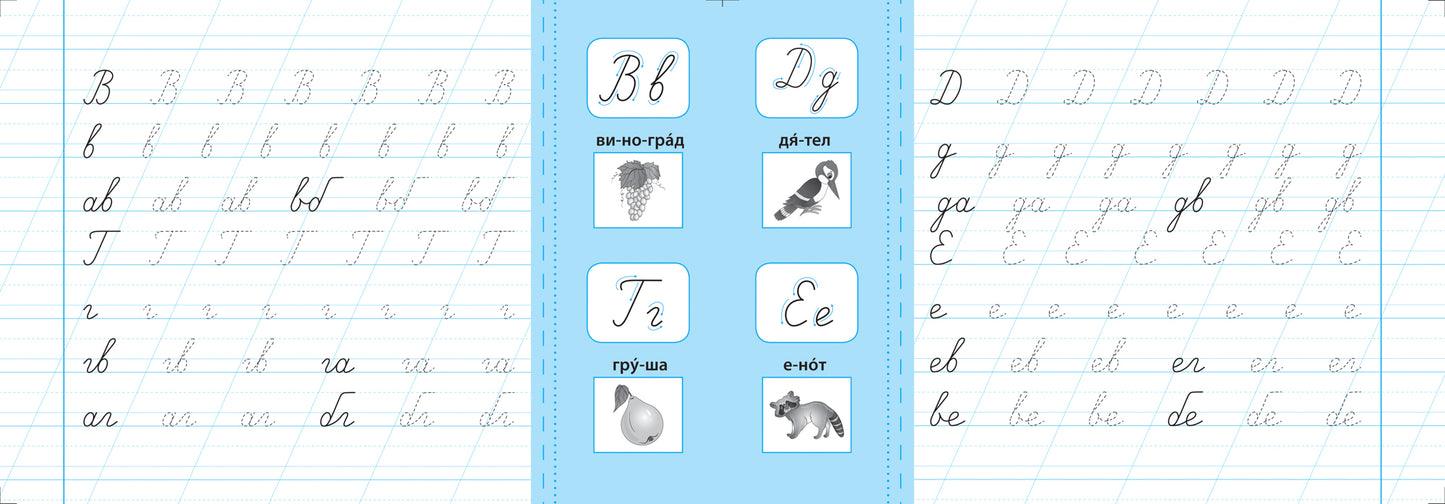 Пишу буквы правильно: прописи с наклейками для дошколят: 5+ дт