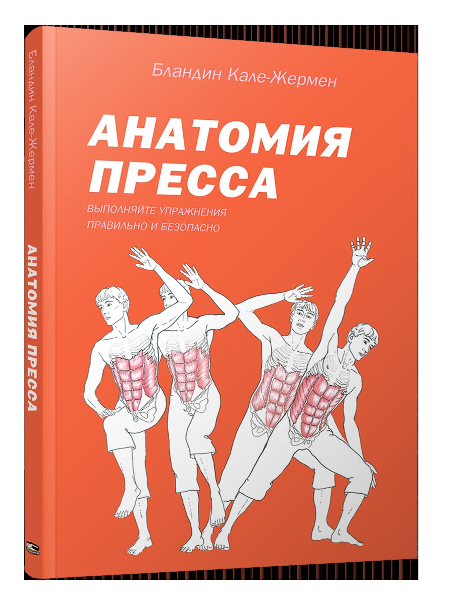 Анатомия пресса