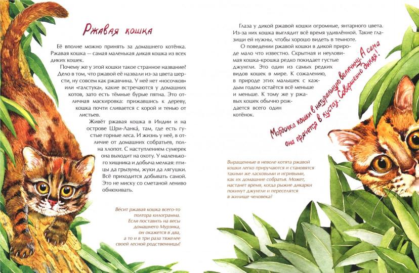 Животные-малютки. Кто на свете меньше всех?