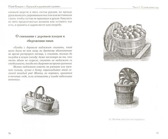 Travnik знахаря. Городской и деревенский садовник. 2-е изд.