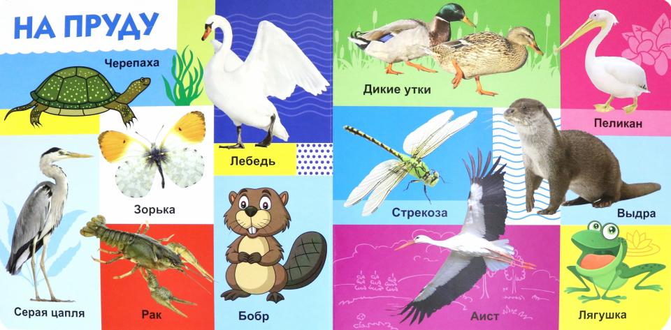 Твои любимые книжки. Животные