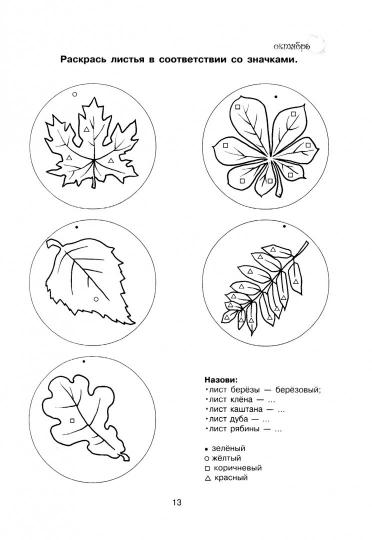 Тренируем пальчики - развиваем речь 5+