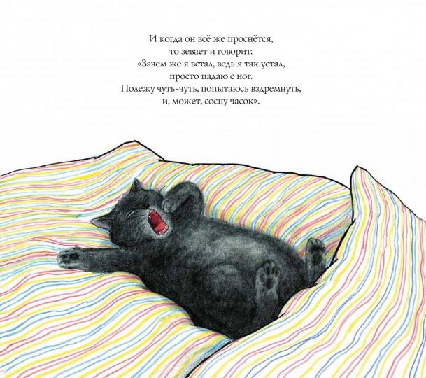 Кот Крамер все время спит