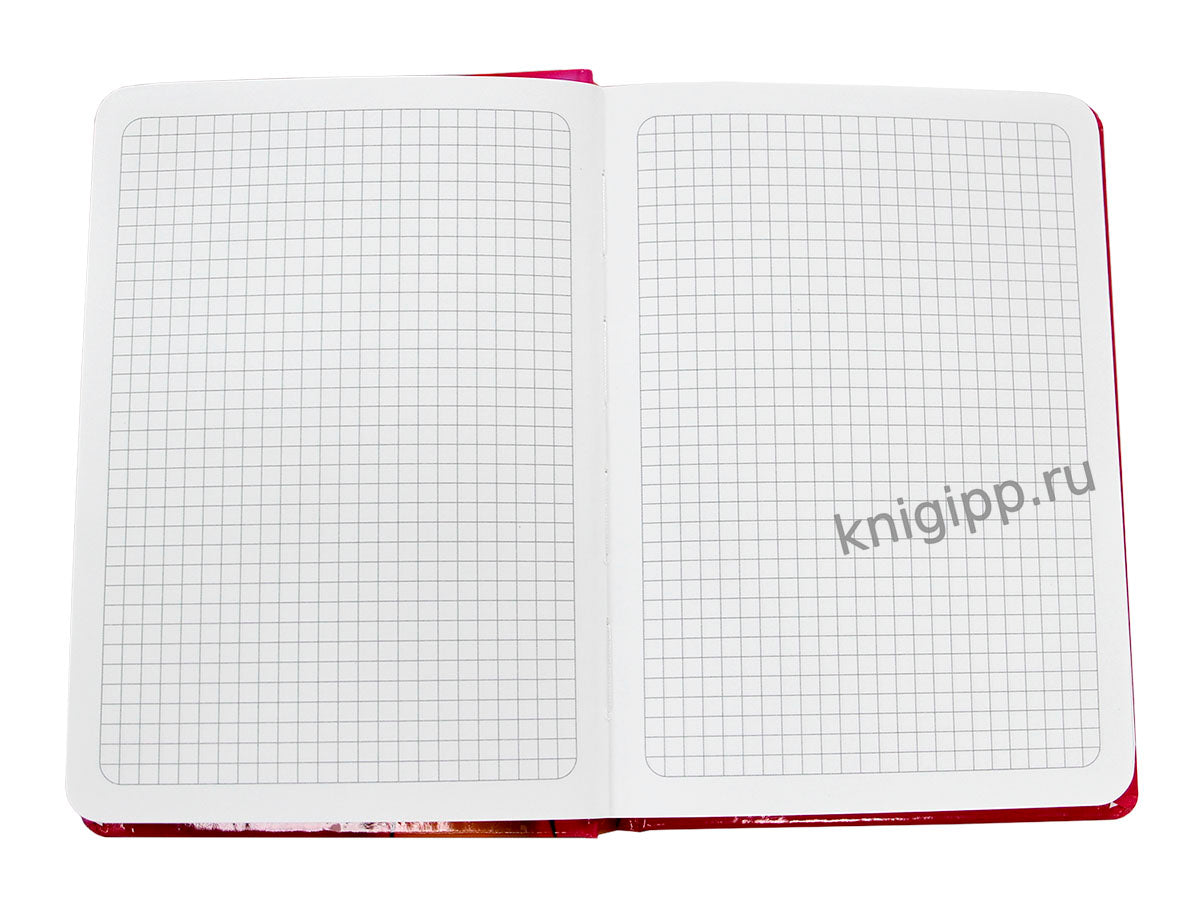 MyArt. БЛОКНОТ в клетку 3D. Апельсины