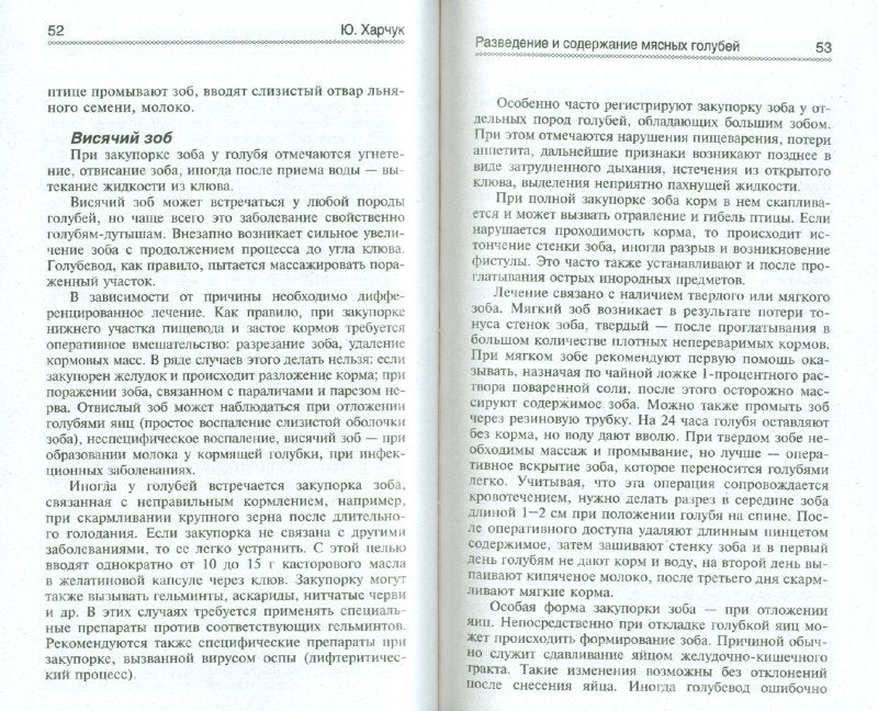 Разведение и содержание мясных голубей в род.усад.