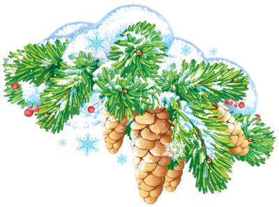 ФМ1-15272 Плакат вырубной А4. Ветка еловая с шишками. Двухсторонний