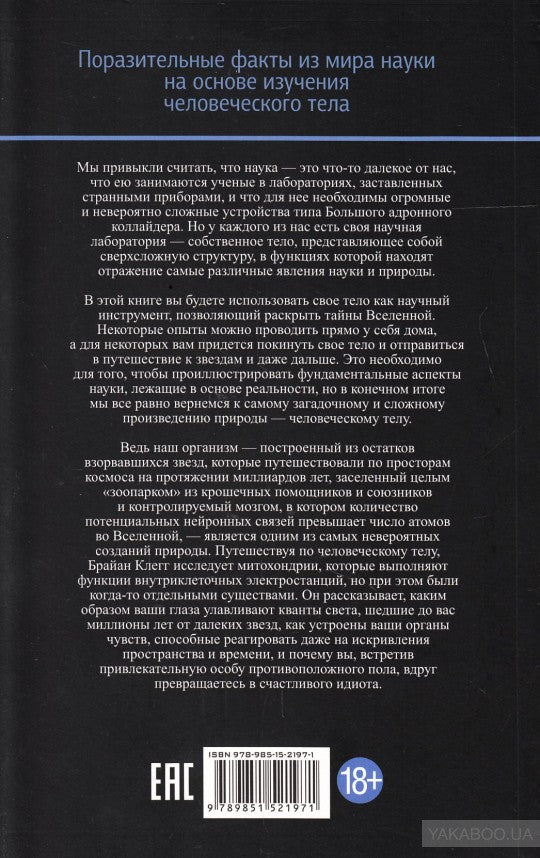 Вселенная внутри вас