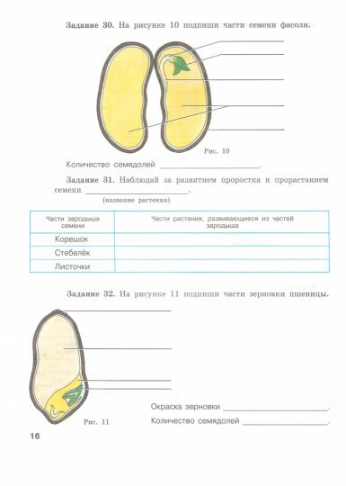 Клепинина. Биология. Растения. Бактерии. Грибы. Рабочая тетрадь для 7 кл. (VIII вид)