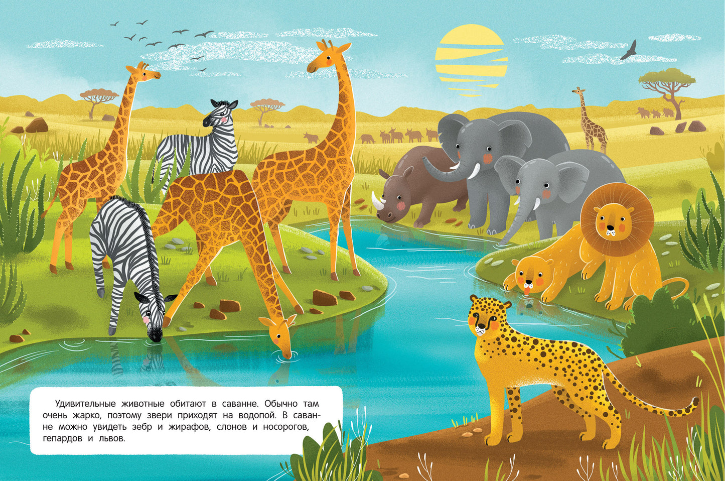 Звери и не только: книжка с наклейками