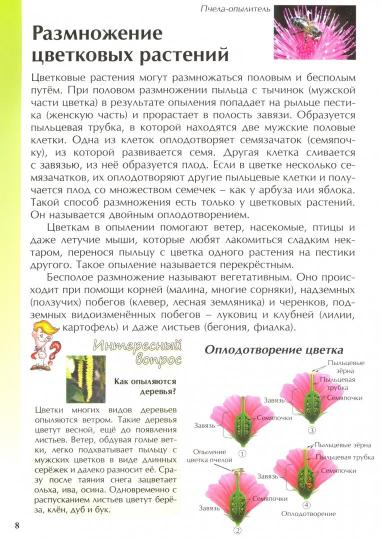 ИЭШ Цветковые растения (Изд-во ВАКО)