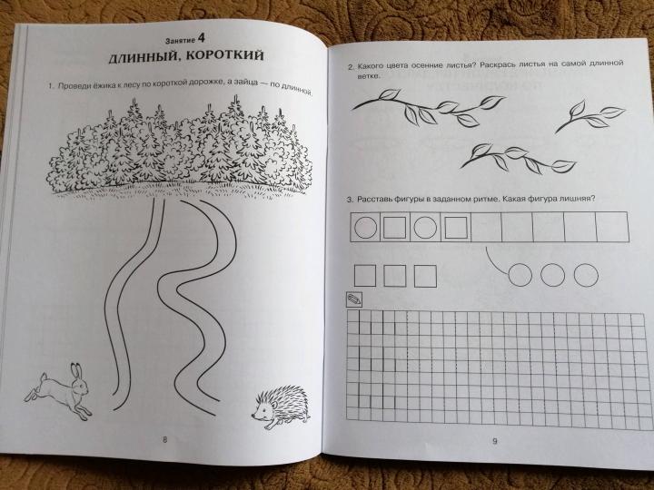 Сычева. Формирование элементарных математических представлений у дошкольников 4-5 лет. Рабочая тетрадь 1-го года обучения