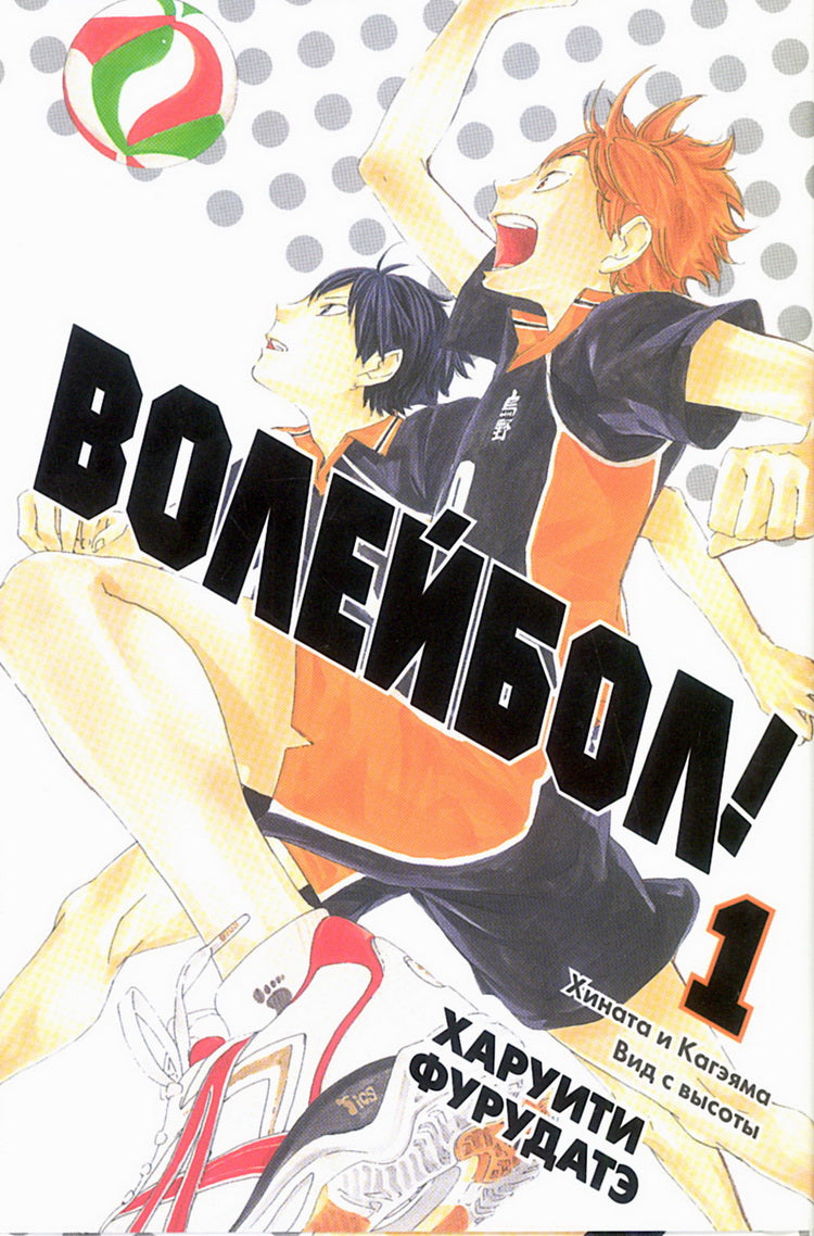 Волейбол! Книга 1. Хината и Кагэяма. Вид с высоты