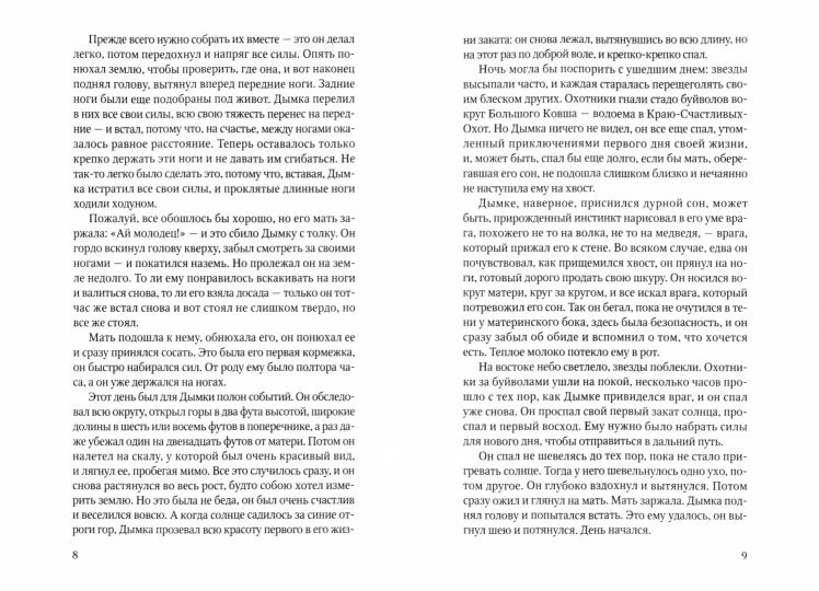 РипА.Природа.Дымка:повесть