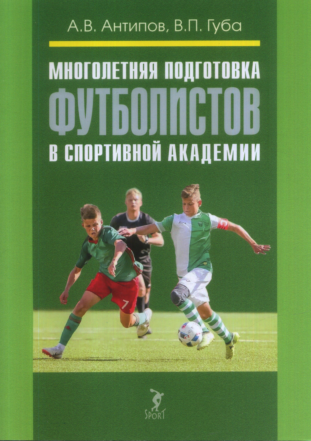 Многолетняя подготовка футболистов в спортивной академии: монография