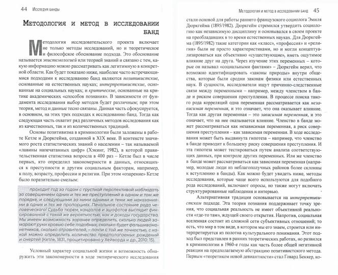 Гангстеры, банды и криминал. Ключевые подходы к криминологии. Перев. с англ. NEW!!!