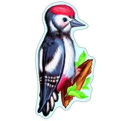 ФМ-8951 Plaque pour votre maison A4. Птица Дятел (с блестками в лаке)