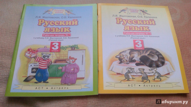 Русский язык. 3 класс. Рабочая тетрадь № 2