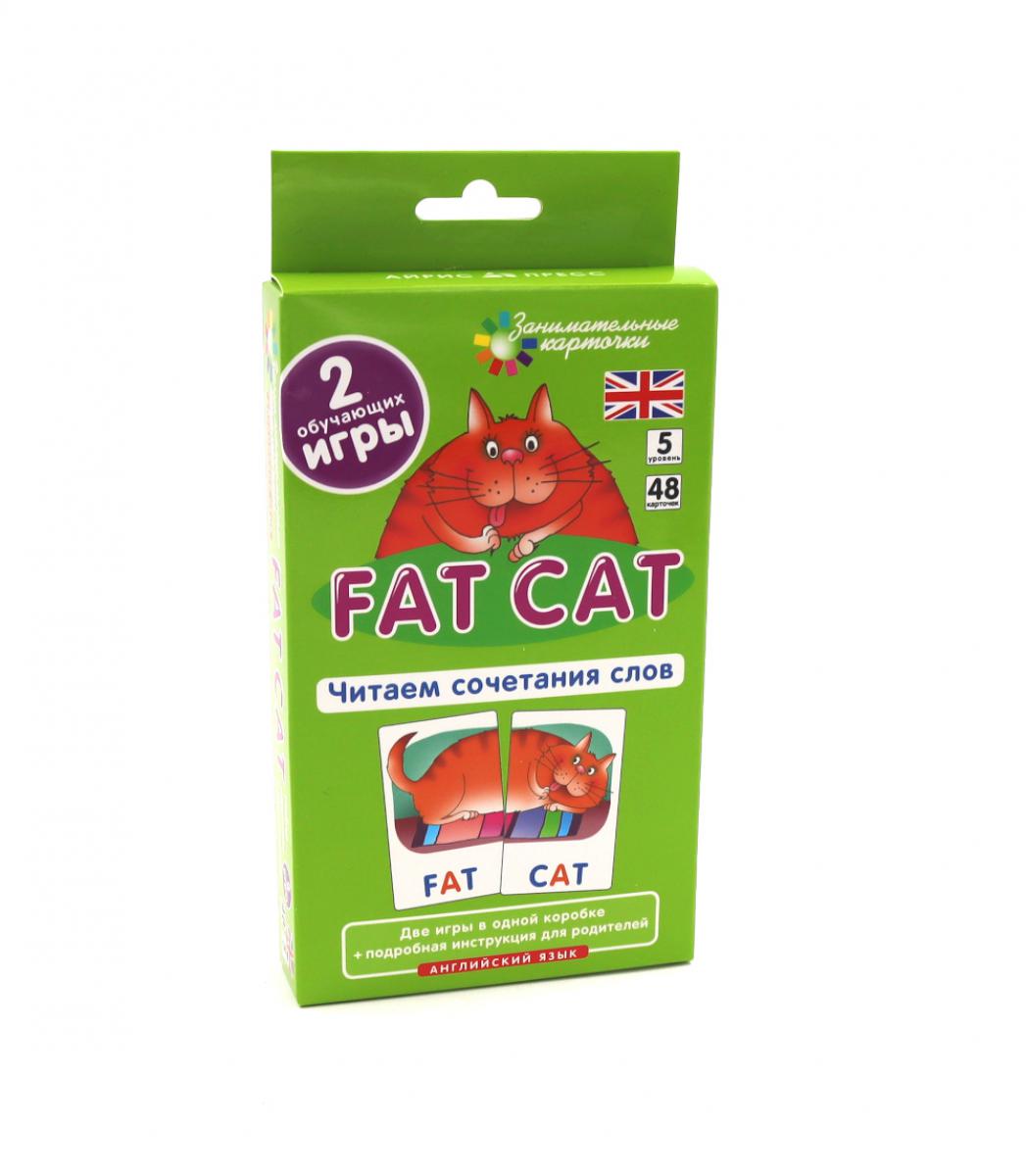 Игровой развивающий набор: Толстый кот. Fat Cat. Читаем сочетания слов. Английский язык. (5 уровень. 48 карточек)