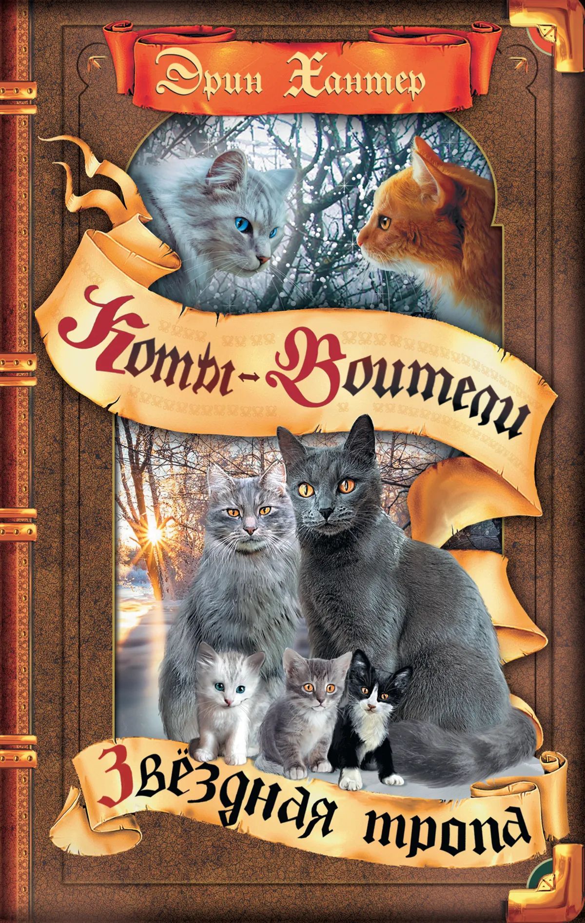 Коты-воители. Цикл "Начало племен". Звездная тропа.