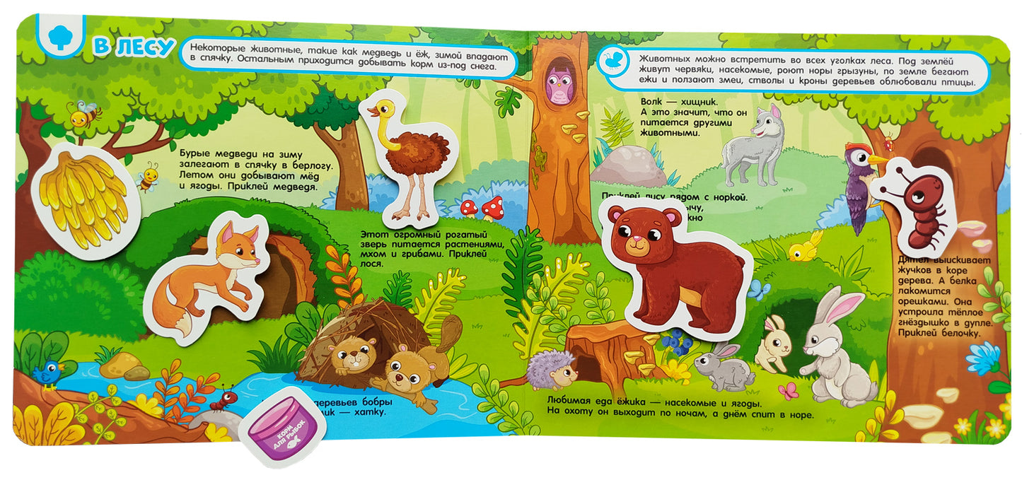 Кто где живет, кто что ест. Книга с липучками
