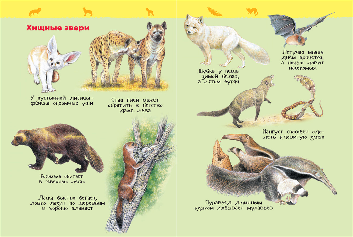 Дикие животные (Энциклопедия для детского сада)