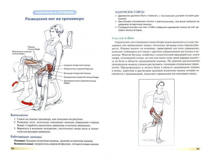 Анатомия бега (новая редакция)
