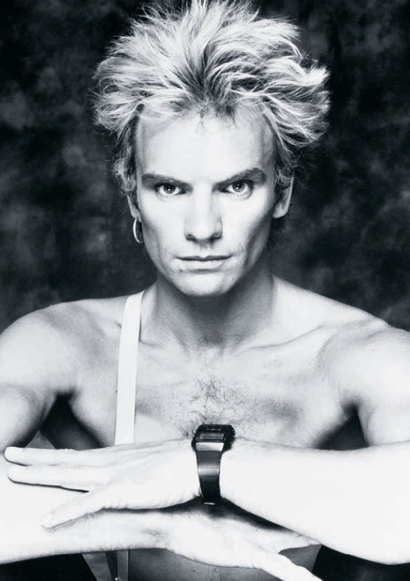 Постер. Звезды рока. Sting. Формат А3.