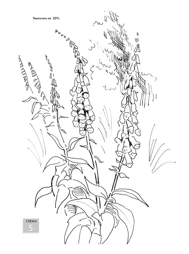 Нарисуй цветы акрилом по схемам. Ты - художник Венди Джелберт