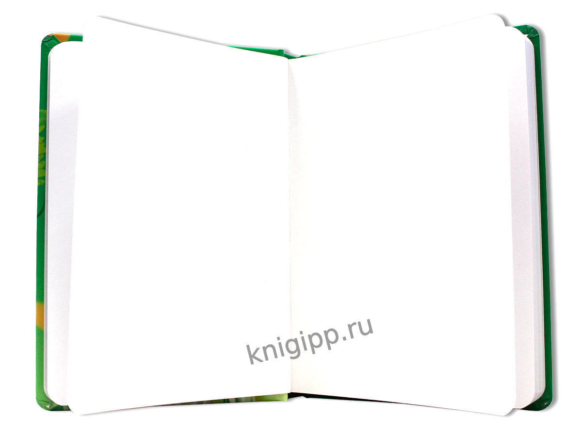 Gatto Rosso. СКЕТЧБУК 145х203. НЕВИННОСТЬ