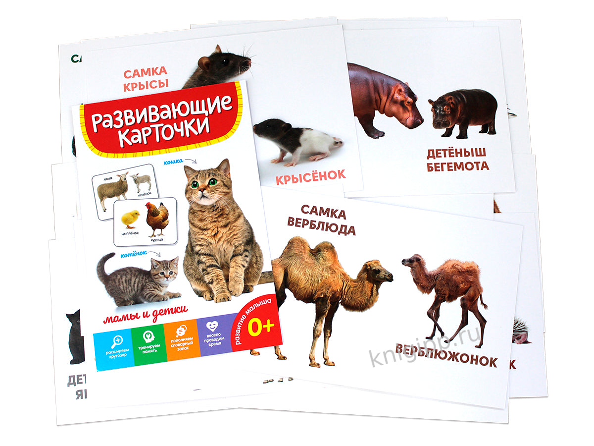 РАЗВИВАЮЩИЕ КАРТОЧКИ. МАМЫ И ДЕТКИ