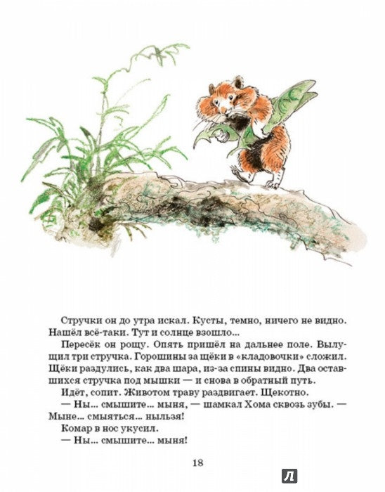 Приключения Хомы