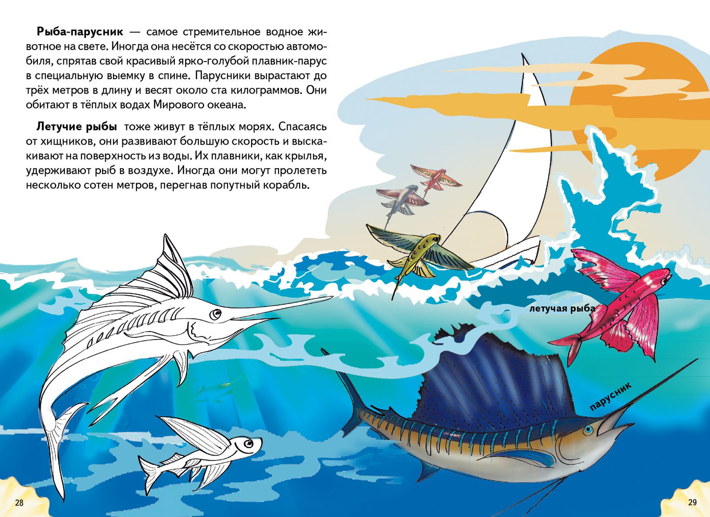 Самые удивительные рыбки ; Самые удивительные рыбки