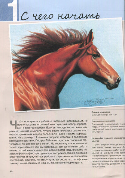 Рисунок цветными карандашами