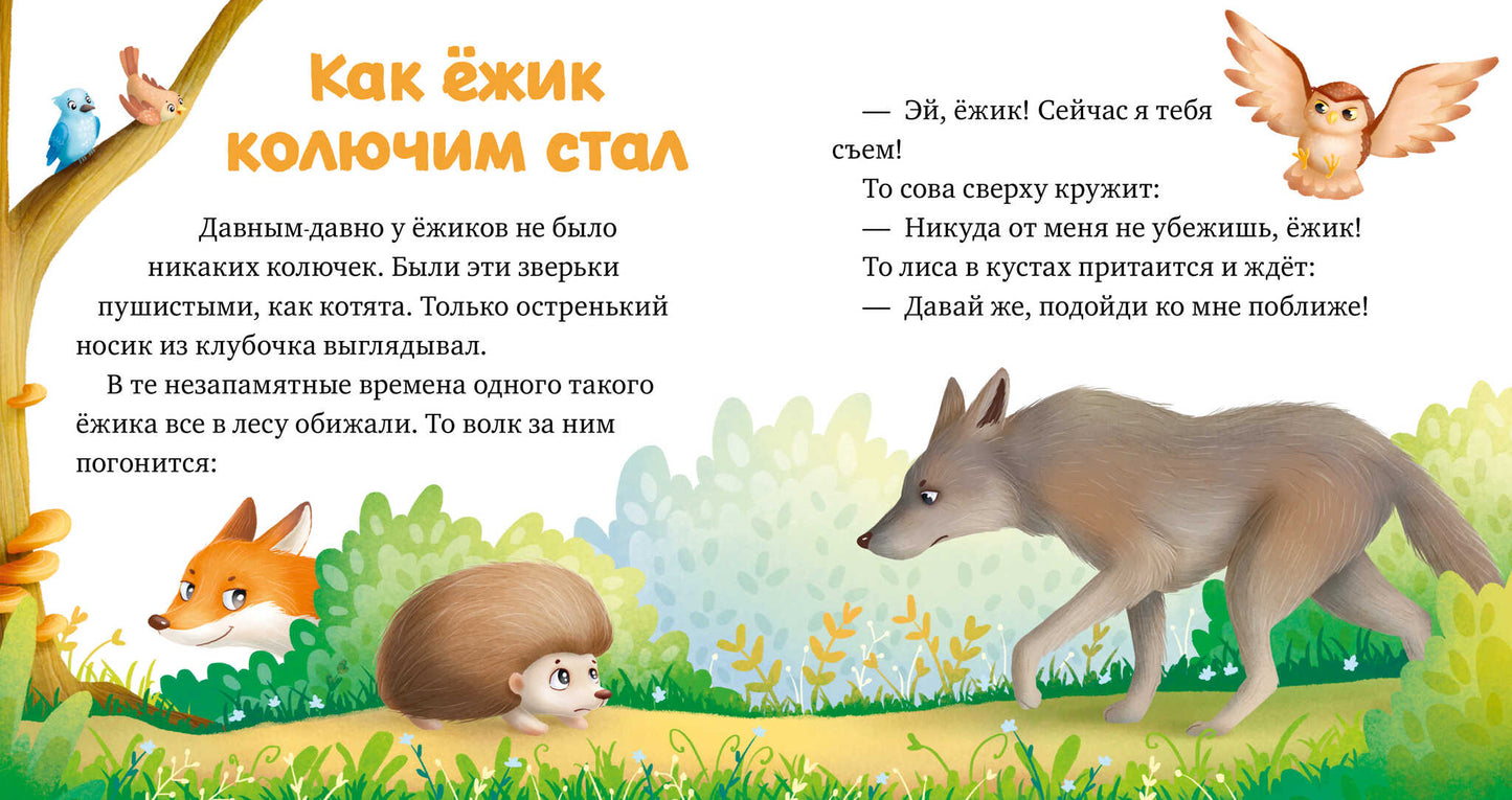 Любознательный малыш. Зверята в лесу (Е. Ульева)/Ульева Е.