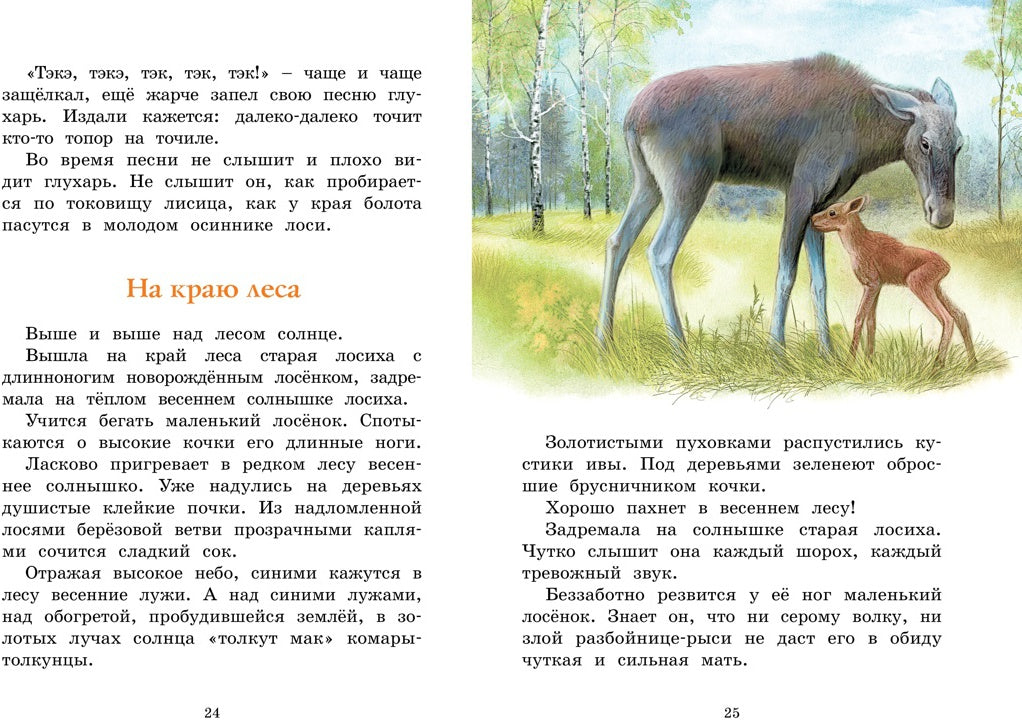 Год в лесу. Рассказы о природе