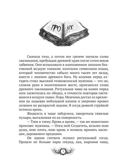 Темный компас