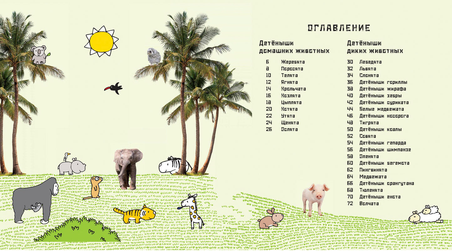 Это мой малыш! Детёныши разных животных (ожидается поступление)