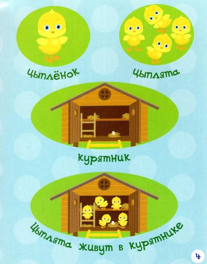 РР Раннее развитие. Где кто живёт? Книжка-картинка для самых маленьких. /Мёдов.