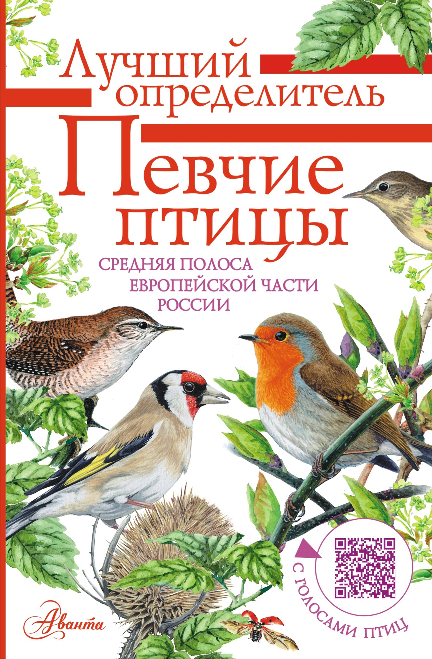Певчие птицы. Средняя полоса евropейской части России. Определитель с голосами птиц