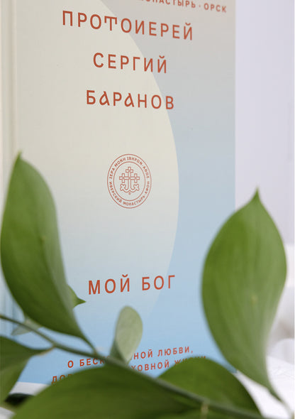 Мой Бог.О бесконечной Любви,доверии и духовной жизни (12+)