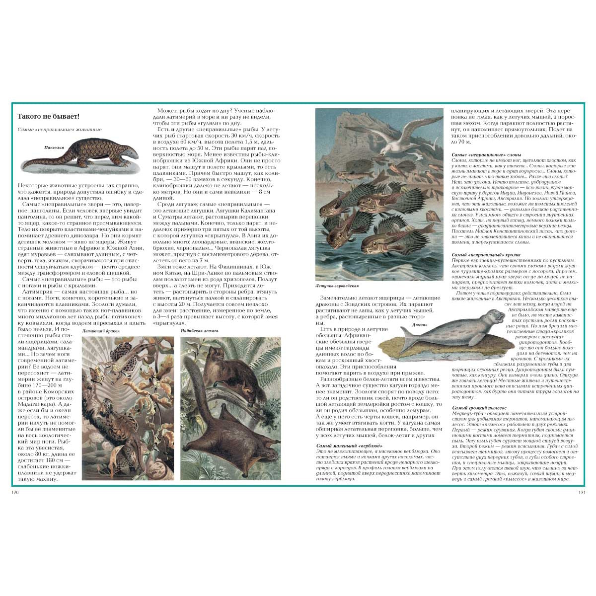 Загадки животного мира