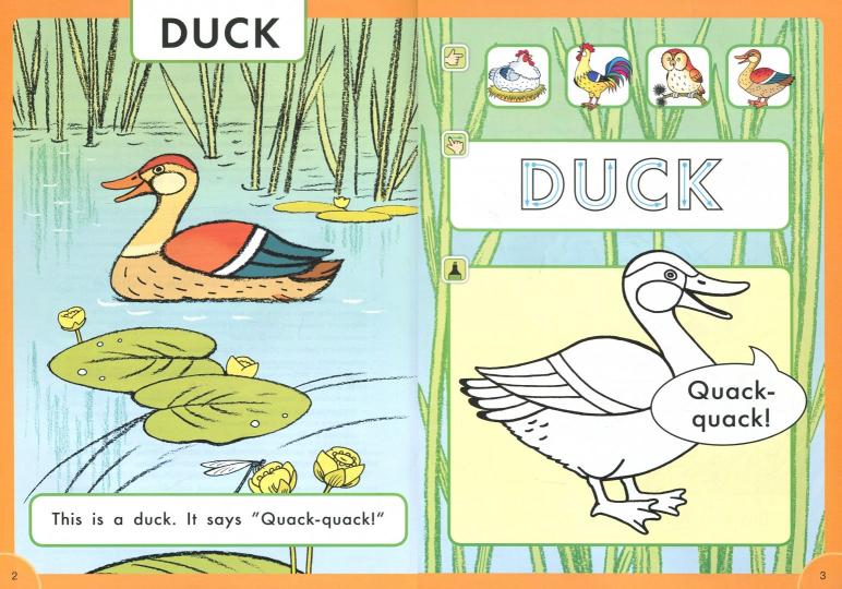Arthur Frost Что говорят птицы? / What do birds say? Пособие для детей 3–5 лет. QR-код для аудио. Английский язык(Титул)