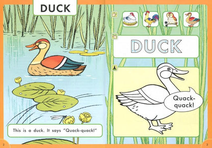 Arthur Frost Что говорят птицы? / What do birds say? Пособие для детей 3–5 лет. QR-код для аудио. Английский язык(Титул)