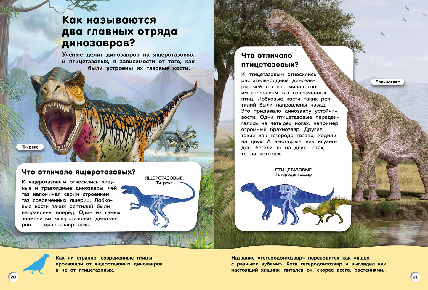 Большая книга динозавров. Вопросы и ответы