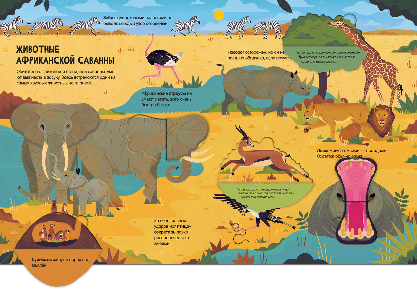 Энциклопедия с окошками. Животные. Энциклопедия с окошками/Петти У.